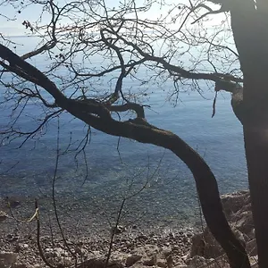 Sandi , Rijeka Croatia